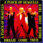 flock of seagulls vinyl dream