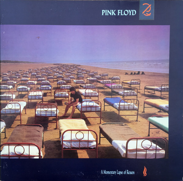 pink floyd momentary vinyl