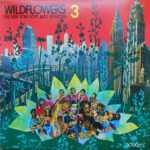 wildflowers 3 new york vinyl