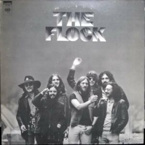 The Flock Vinyl
