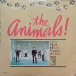 Animal Tracks Vinyl