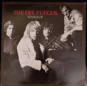 Stand Up Vinyl