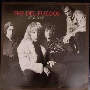 Stand Up Vinyl
